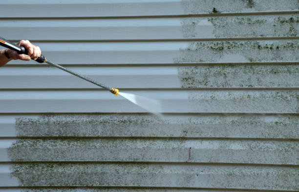 Best Driveway Pressure Washing  in Beverly Hills, CA